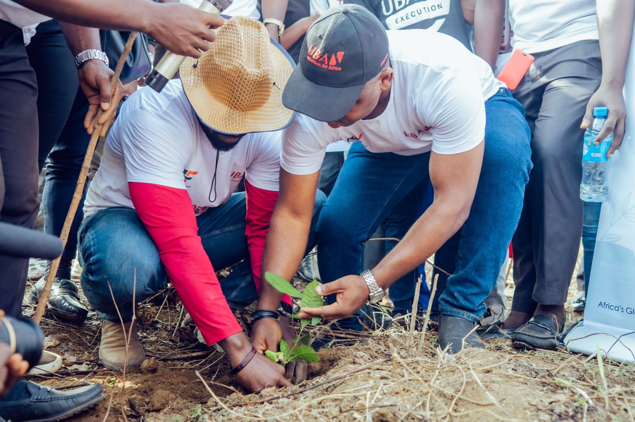 UBA Foundation in collaboration with Auradicals Foundation Ignite Africa’s Green Future: Launching the 2023 Tree Planting Campaign for Environmental Revival