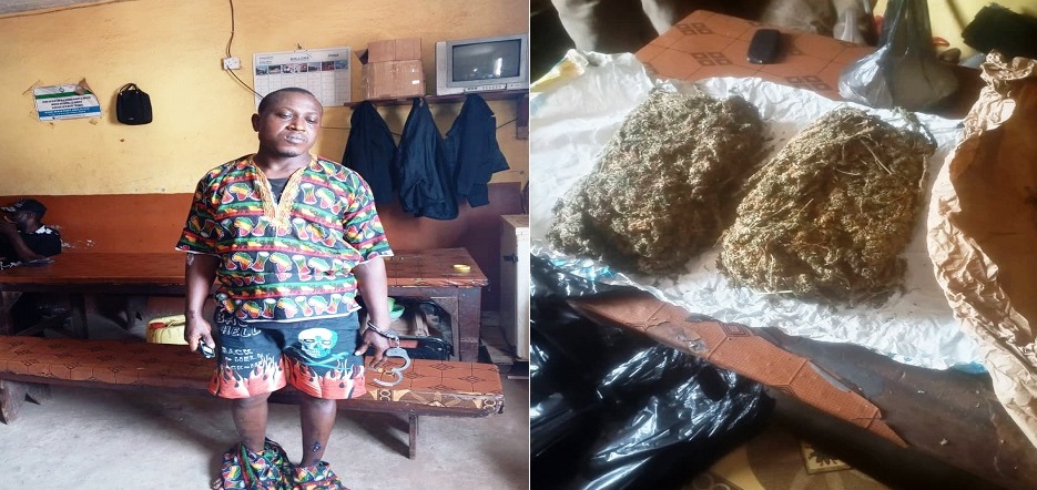 Kush Tycoon Arrested by Police