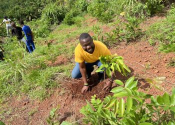 KOINADUGU COLLEGE CALLS FOR MORE TREES PLANTING DURING ANNUAL EXERCISE