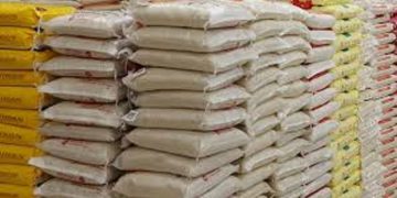 RICE IMPORTERS KILL “FEED SALONE”