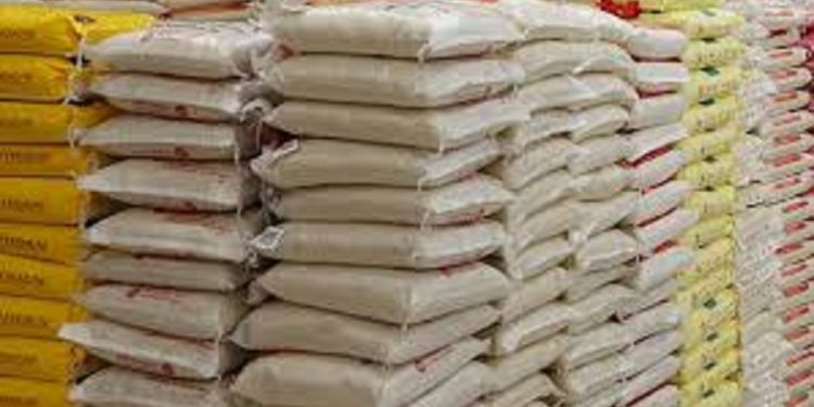 RICE IMPORTERS KILL “FEED SALONE”