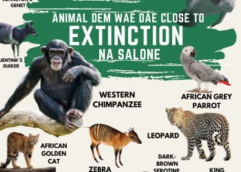 ENDANGERED SPECIES DAY:  A DISCUSSION ON THE IMOORTANCE OF PROTECTING ENDANGERED SPECIES IN  OUTAMBA KILIMI NATIONAL PARK