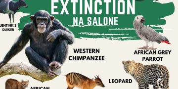 ENDANGERED SPECIES DAY:  A DISCUSSION ON THE IMOORTANCE OF PROTECTING ENDANGERED SPECIES IN  OUTAMBA KILIMI NATIONAL PARK