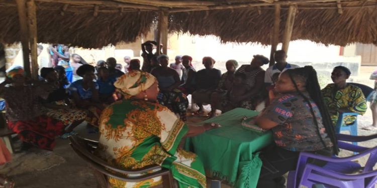 Ladies with Vision Supports Young Female Farmers with Seedlings and Farming Tools