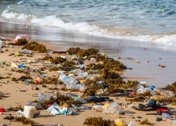  Freetown’s Rainy Season Woes…  Environmental Challenges and Governance Struggles