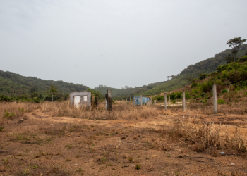 Freetown’s business school buys $4.5m hole in the bush