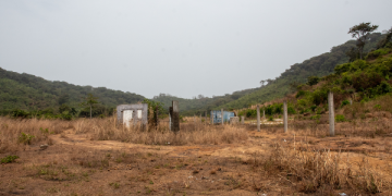 Freetown’s business school buys $4.5m hole in the bush