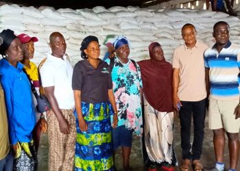 NaFFSL Commends Government:  30,000 Bags of Fertilizer to Support ‘Feed Salone’