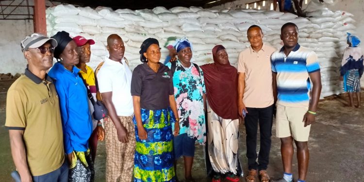NaFFSL Commends Government:  30,000 Bags of Fertilizer to Support ‘Feed Salone’