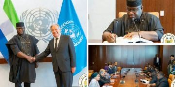 Bio’s work at UN Security Council are scripted by the AU