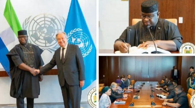 Bio’s work at UN Security Council are scripted by the AU