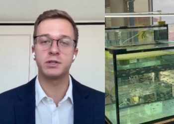 SAFMI Introduces Mosquito-Eating Fish!