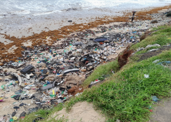 TRACE:  As Tourism Ministry, Tourist Board Missing…  Levuma Beach An Eyesore