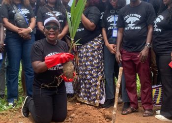 FCC, Partners Distribute 25,000 Trees across Freetown