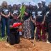 FCC, Partners Distribute 25,000 Trees across Freetown