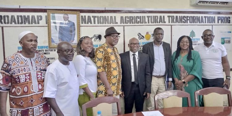 MAFS and Njala University Holds Consultative Meeting on Response to East African Cassava Mosaic Virus