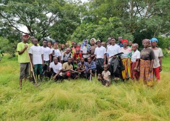 Reviving the Green: Tree Planting Initiative to Restore Outamba Kilimi National Park