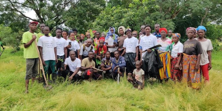 Reviving the Green: Tree Planting Initiative to Restore Outamba Kilimi National Park