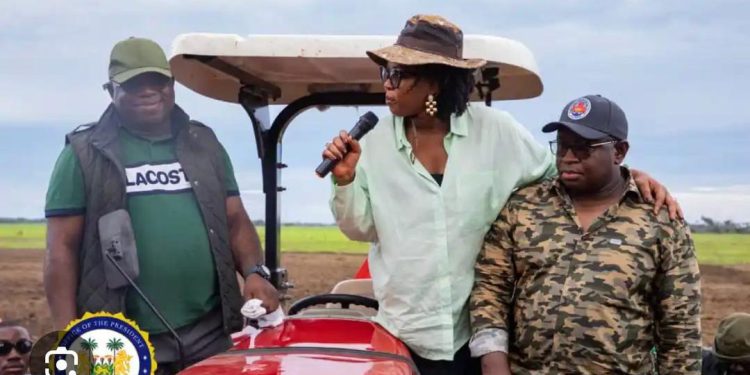 $34.1 Million Torma Bum Rice Project…  A Failed Promise and Growing Scandal in Sierra Leone