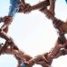 EMBRACING UNITY, SHARING LOVE FOR A STRONGER NATION