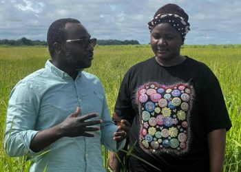 Minister Kpaka Assesses Farmer Readiness Ahead of World Food Day