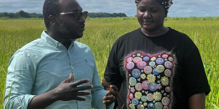 Minister Kpaka Assesses Farmer Readiness Ahead of World Food Day