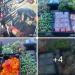 Grace Christian Fellowship (GCF Global) feeds New Jersey communities