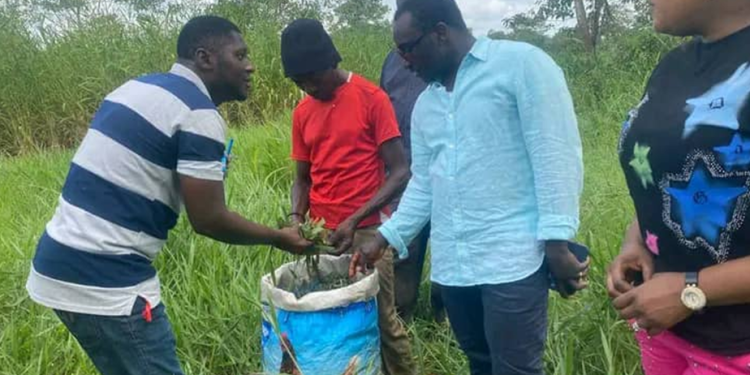 Minister Kpaka Launches Harvesting of Feed Salone Rice to Boost Local Food Production