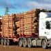 Amid New Regulations…  Timber Transport Resumes in Sierra Leone