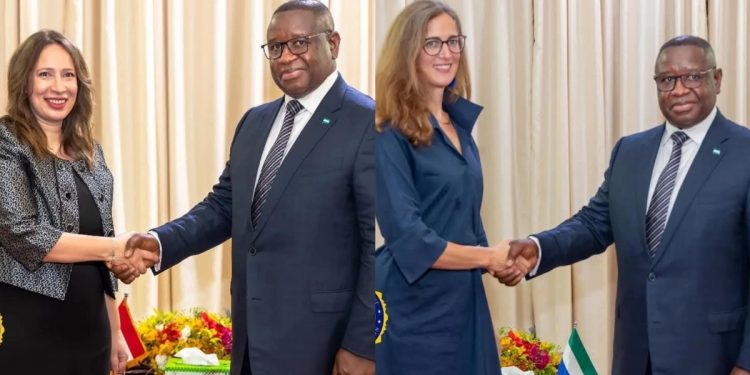 Ambassadors present Credentials to President Bio