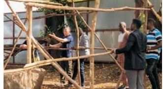 AFRICELL, RBG KEW  TO RESCUE FREETOWN’S ICONIC COTTON TREE