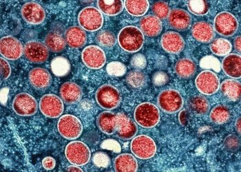 WHO Leads Urgent Response to Contain Mpox Outbreak