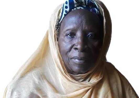 UNCONSTITUTIONAL SUSPENSION OF PC HAJA MARIAMA GASSAMA KANJA IV A BLOW TO DEMOCRACY   