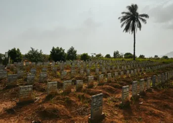 Why West Africa’s Ebola Outbreak Needs to be Investigated