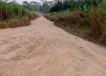 Lower Bambara Roads in deplorable state