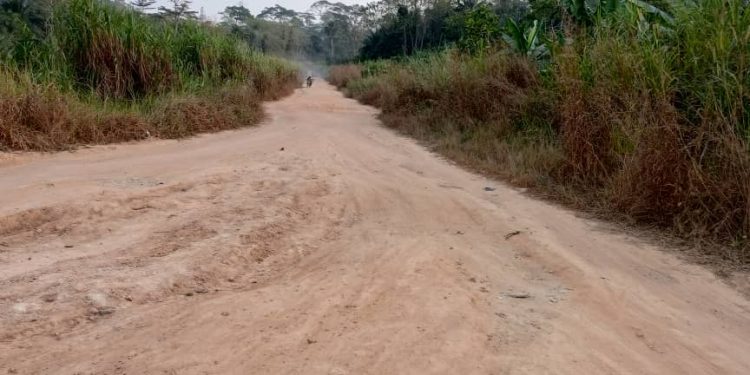 Lower Bambara Roads in deplorable state