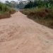 Lower Bambara Roads in deplorable state