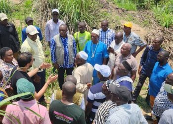 Dr. Kandeh Yumkella Visits Proposed Site for Africa50 50MW Solar Energy Project in Kono,Commends President Julius Maada Bio for his Visionary Leadership