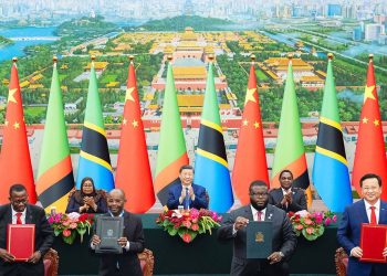 As Beijing’s Influence Grows in a Shifting Global Landscape…  Should Africa Engage with China to Maximize Mutual Benefits?