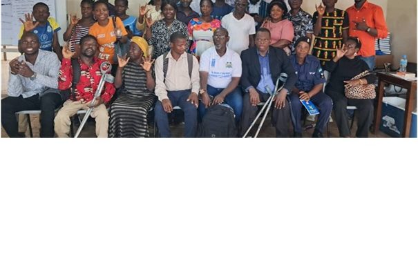 To Boost Deaf Women’s Political Participation in Sierra Leone –DWAN-SL Hosts Workshop