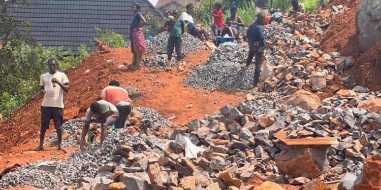NDMA Visits Excavation Site at Leicester Peak, Orders Immediate Stop Work