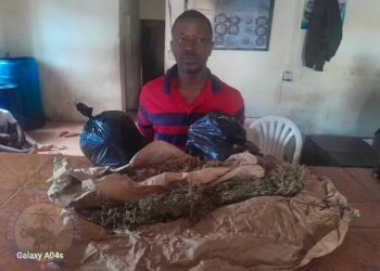 During Operation at Brima Attouga Stadium… Harbour Police Seize Suspected Drugs