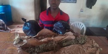 During Operation at Brima Attouga Stadium… Harbour Police Seize Suspected Drugs