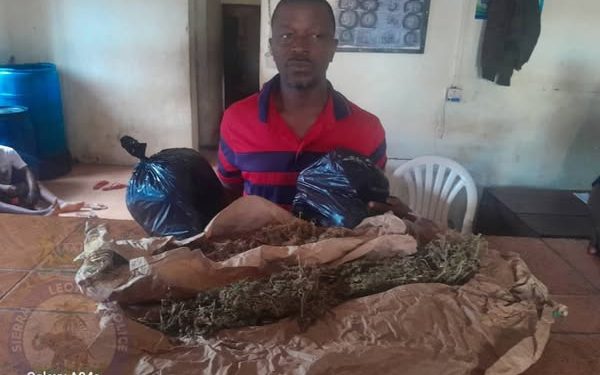 During Operation at Brima Attouga Stadium… Harbour Police Seize Suspected Drugs