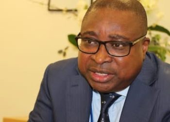 Central Bank Halves Borrowing Costs, Slashes 364-Day T-Bill Yields to 20.40%