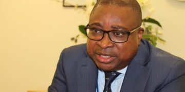 Central Bank Halves Borrowing Costs, Slashes 364-Day T-Bill Yields to 20.40%