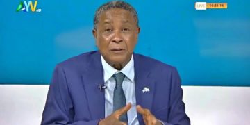 Presidential Spokesman’s Statement Sparks Public Outcry