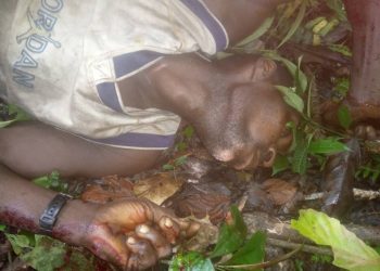 48-YEAR-OLD MAN SHOT DEAD DURING HUNTING IN KABALA