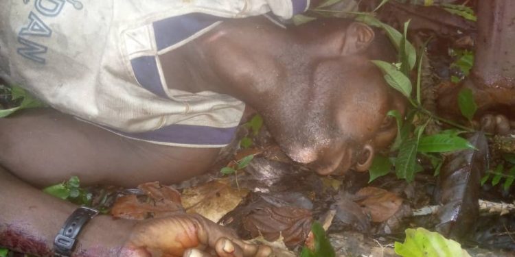 48-YEAR-OLD MAN SHOT DEAD DURING HUNTING IN KABALA