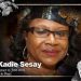 Ministry Of Gender, Women-Led Organizations Host National Symposium To Honour Late Dr. Kadi Sesay